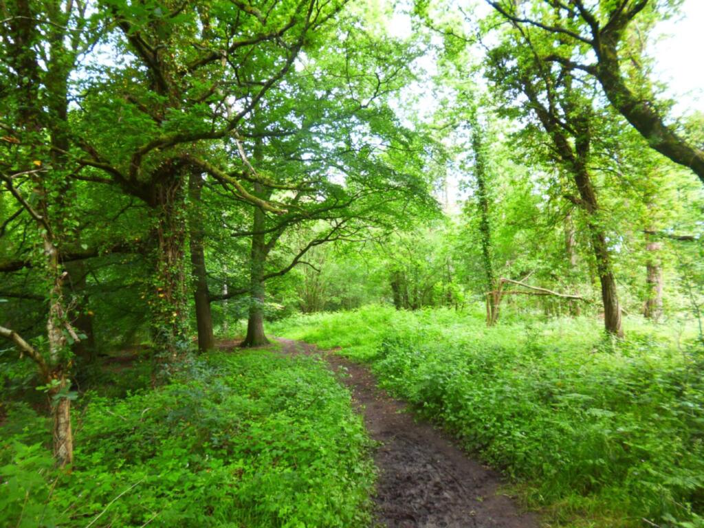 Drybrook to Wigpool Walk