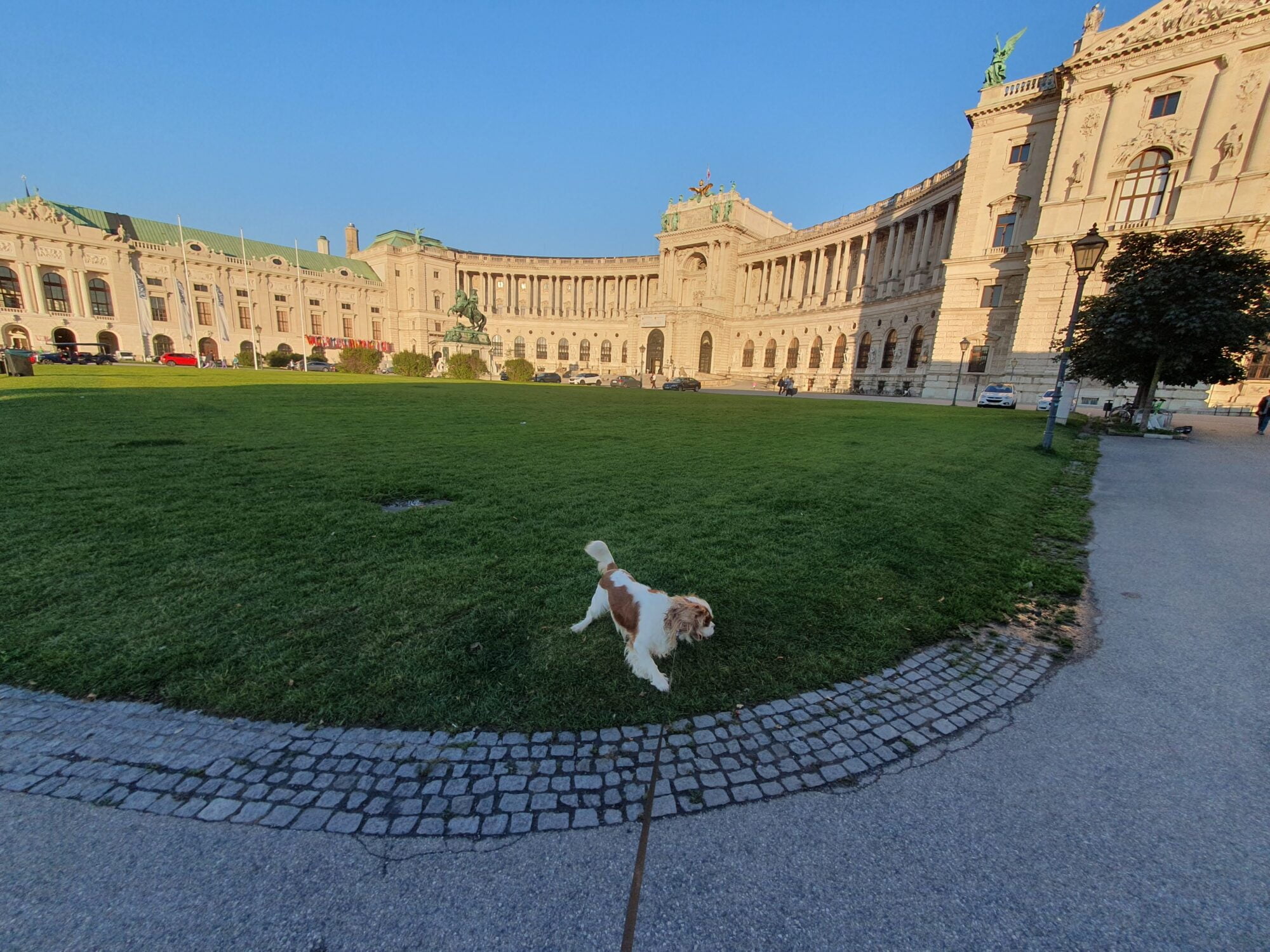 Hofburg Dog Walk