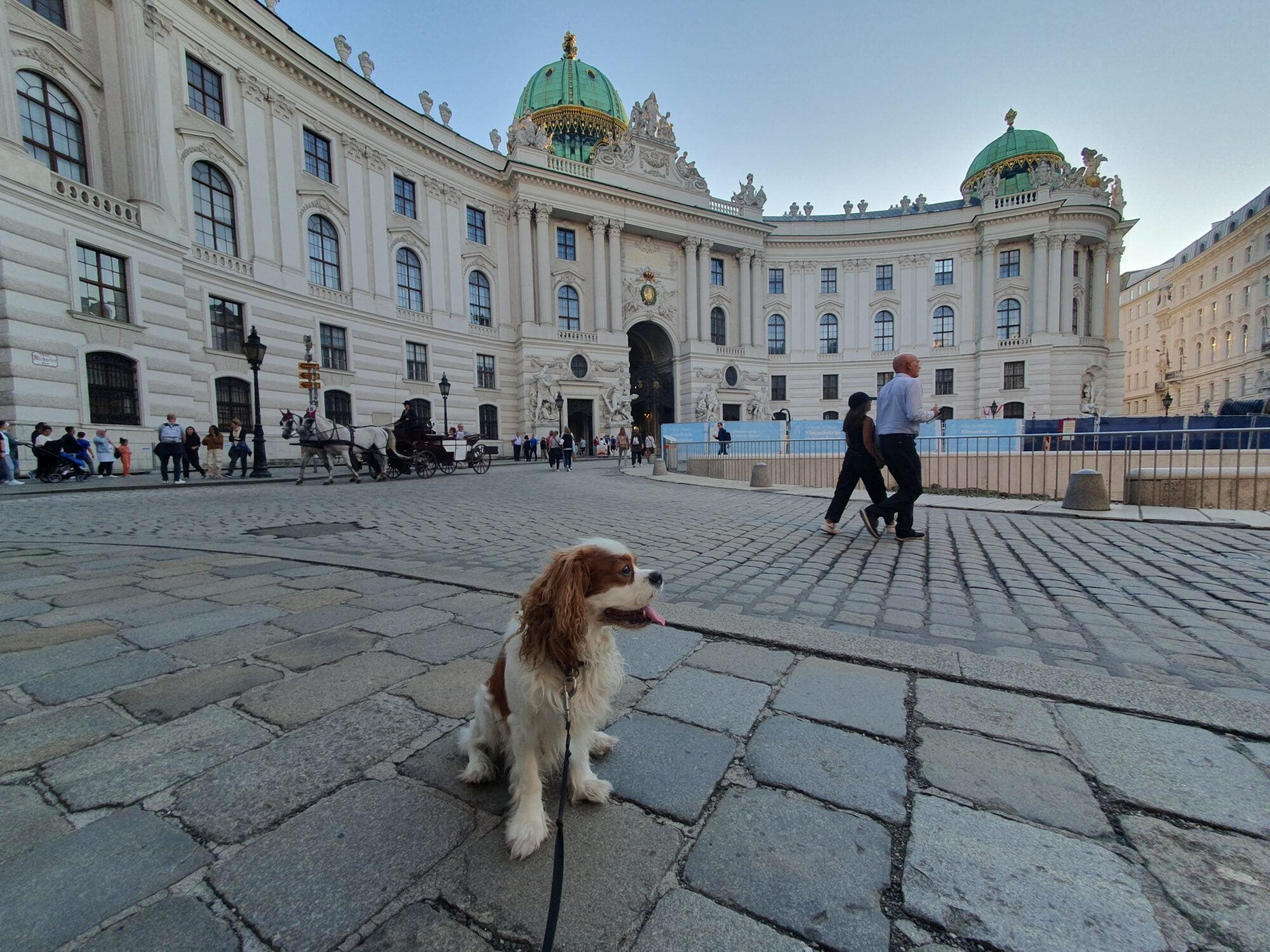 Hofburg Entrance