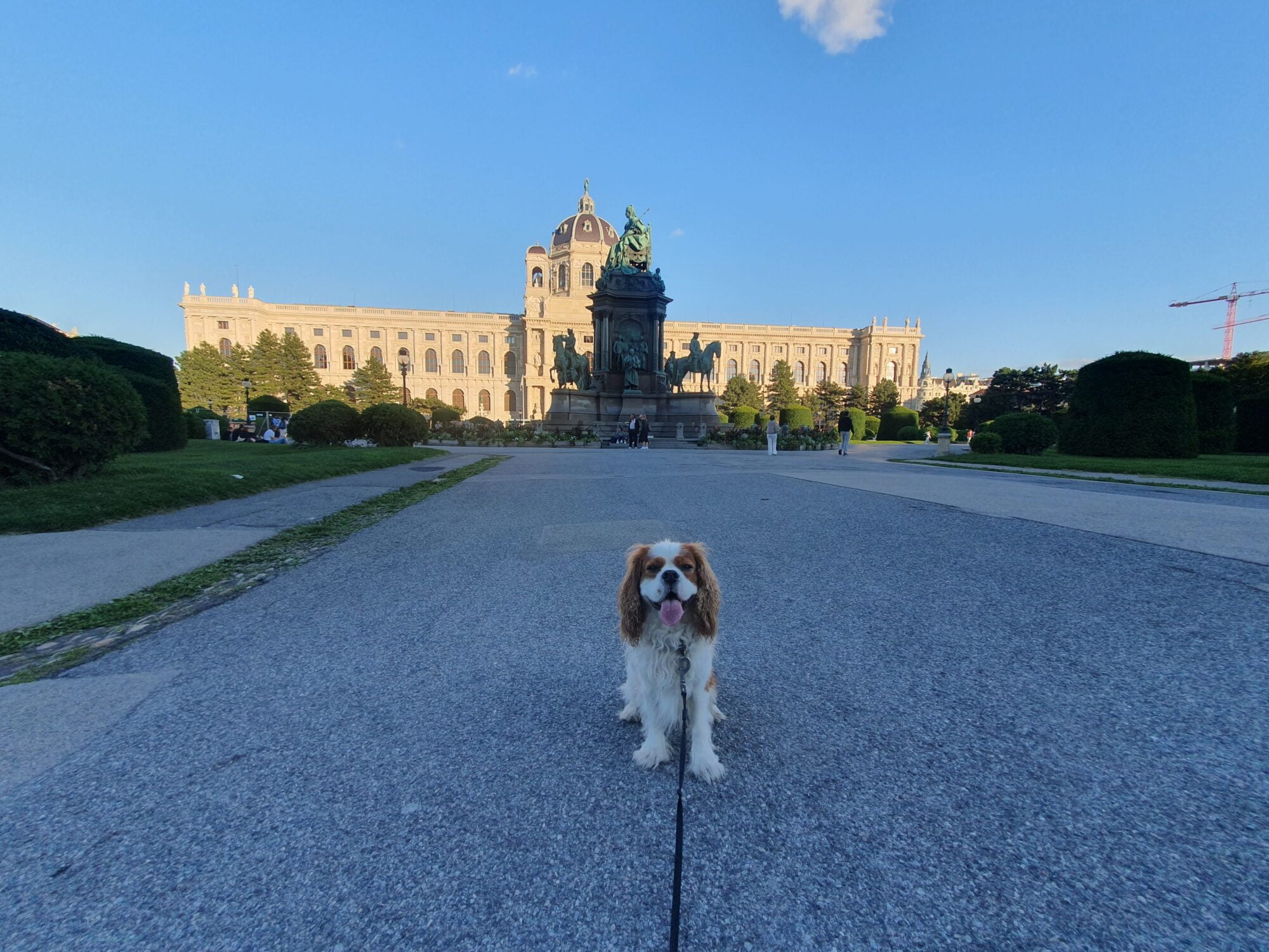 Kunsthistorisches Museum Wien Dog