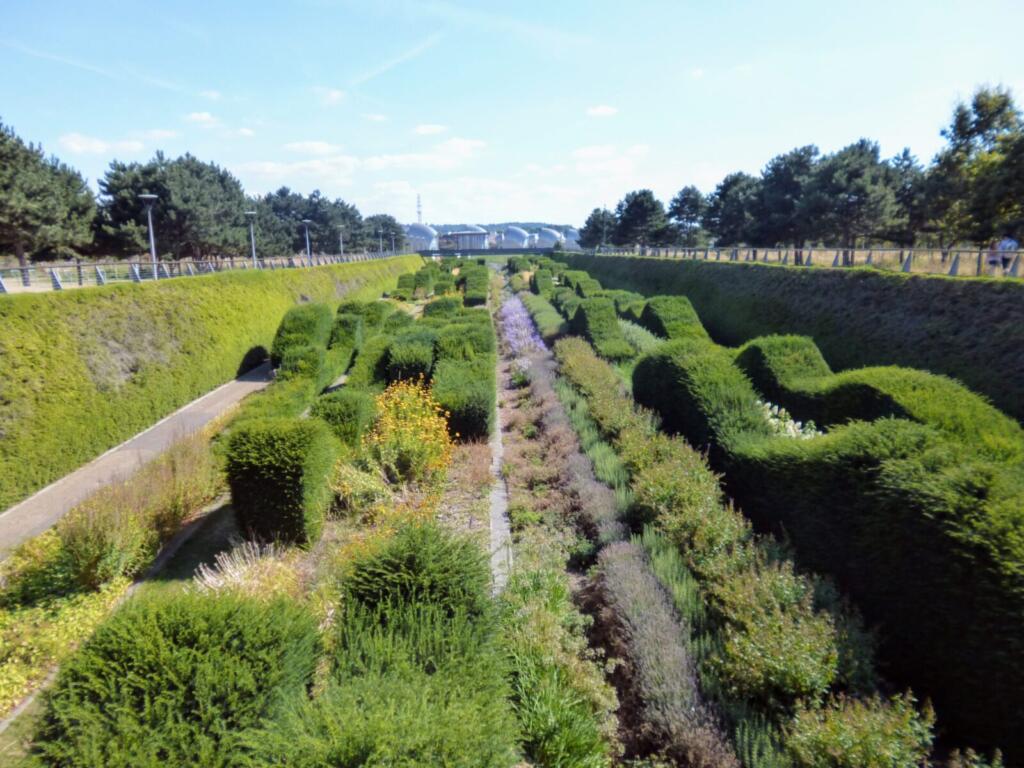 Landscaped Gardens at Barrier Park