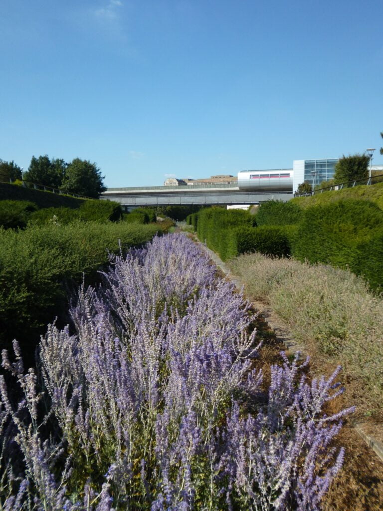 Lavender and Pontoon Wharf DLR