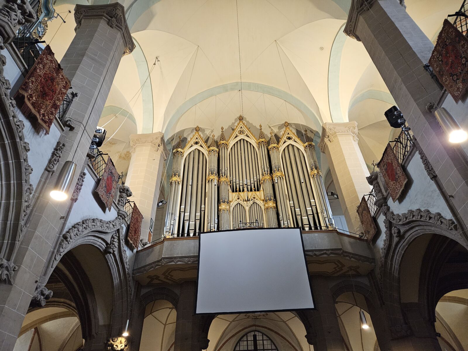 Main Organ