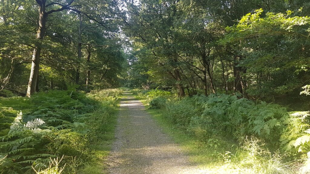 Nagshead Walk