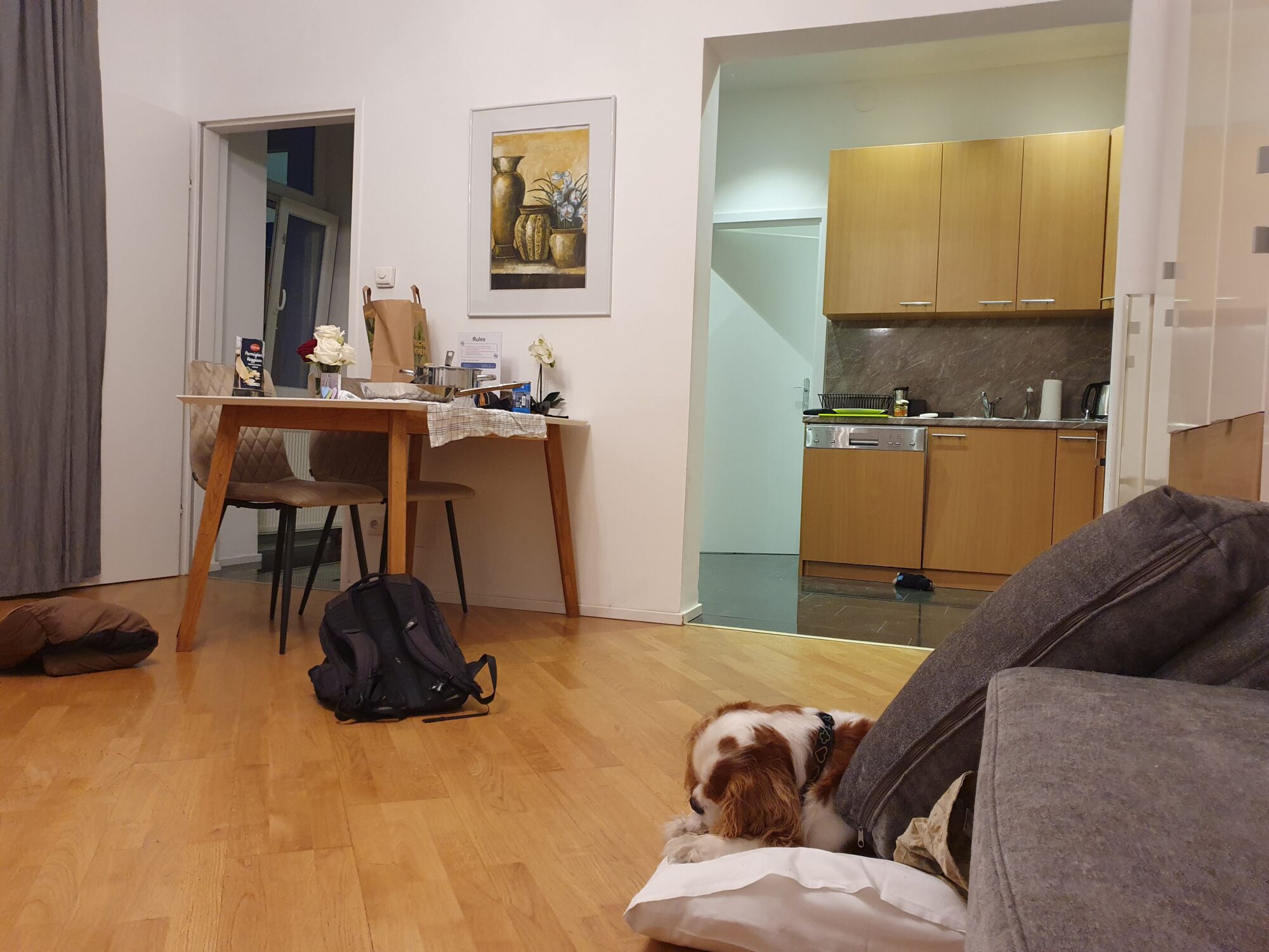 Pet Friendly Airbnb