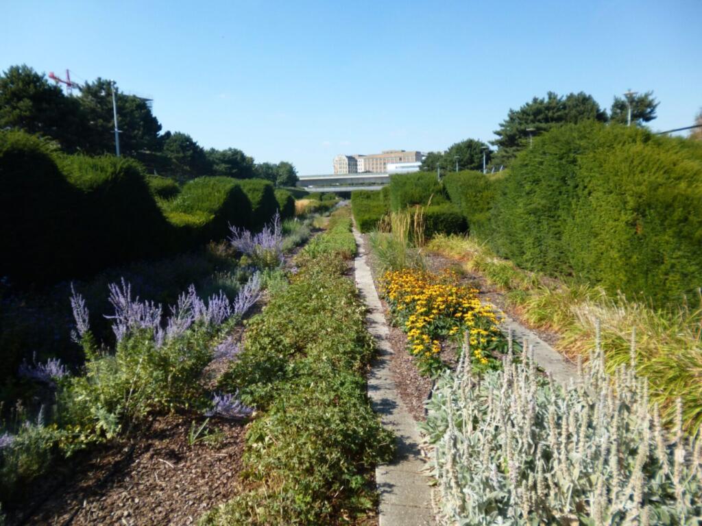 Pretty Plants at Barrier Park in London