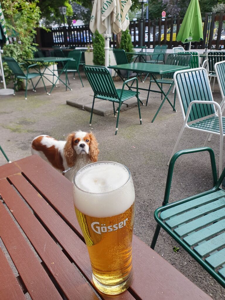 Steirerhof Restaurant Dog Friendly