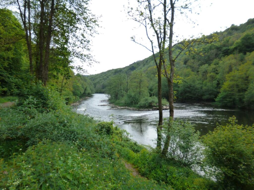Symonds Yat Rapids
