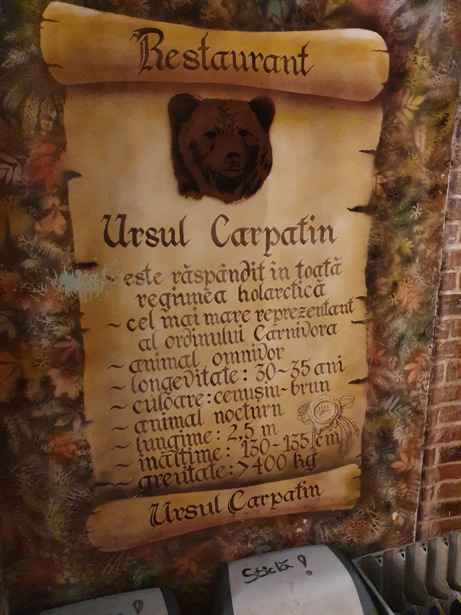 Ursul Carpatin Sign