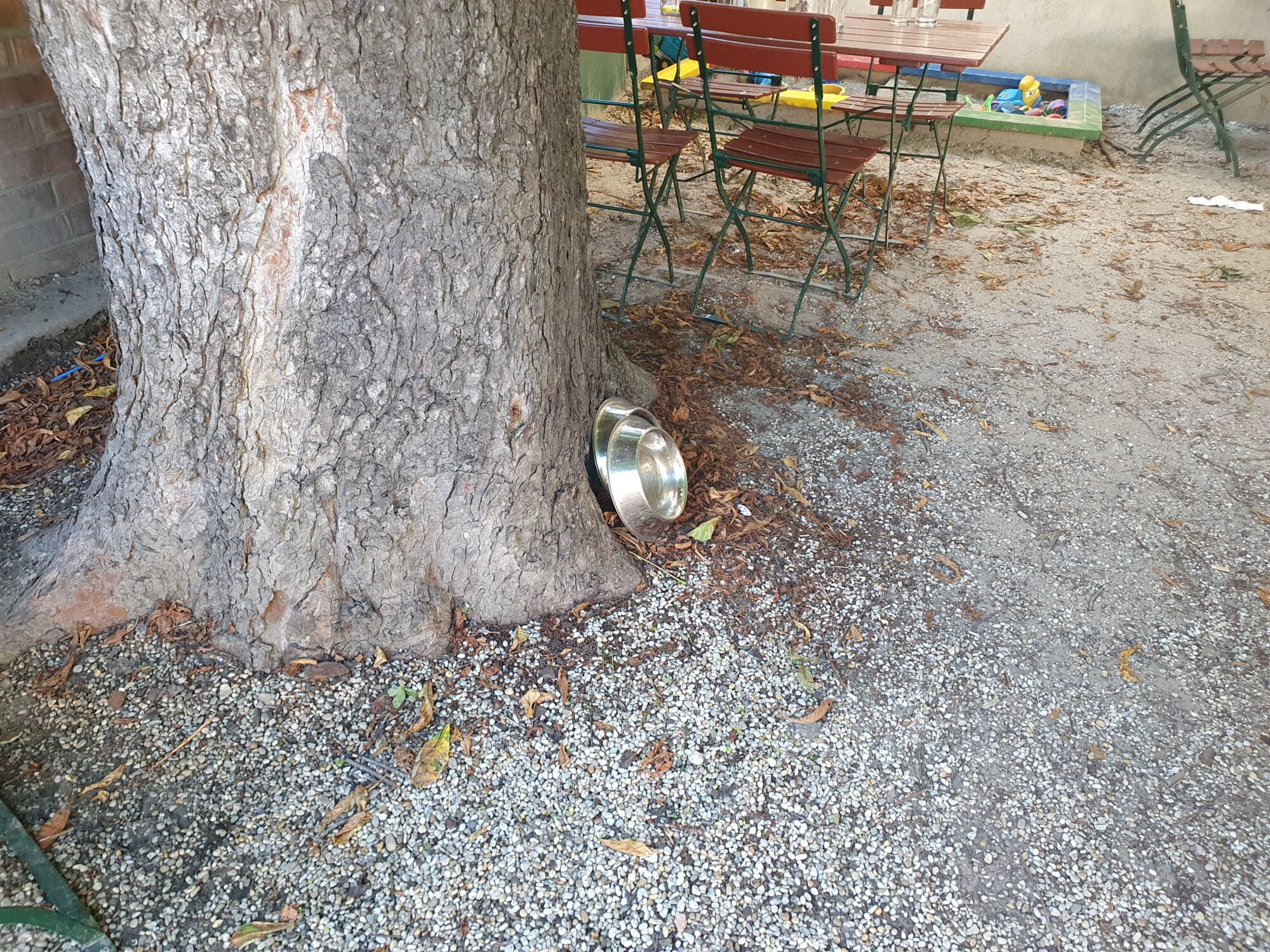 Wiener Grill Haus Dog Friendly