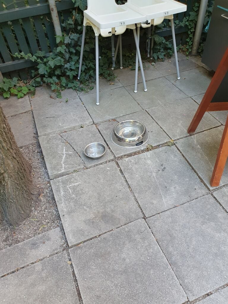 Zattl Wirtshaus & Biergarten Dog Water