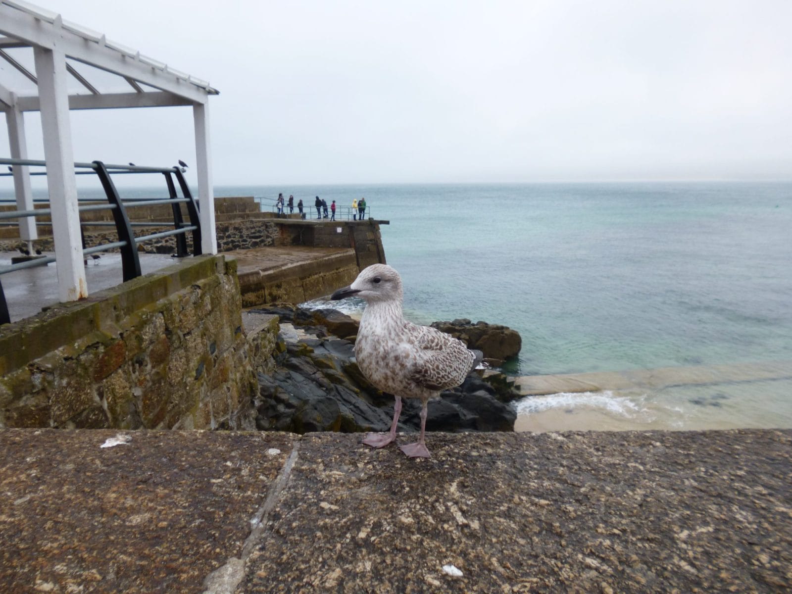 Coast Path