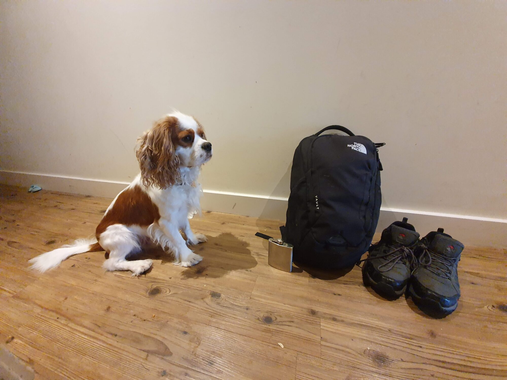 Day Out With Backpack