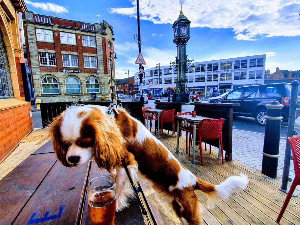 Dog & Chamberlain Clock