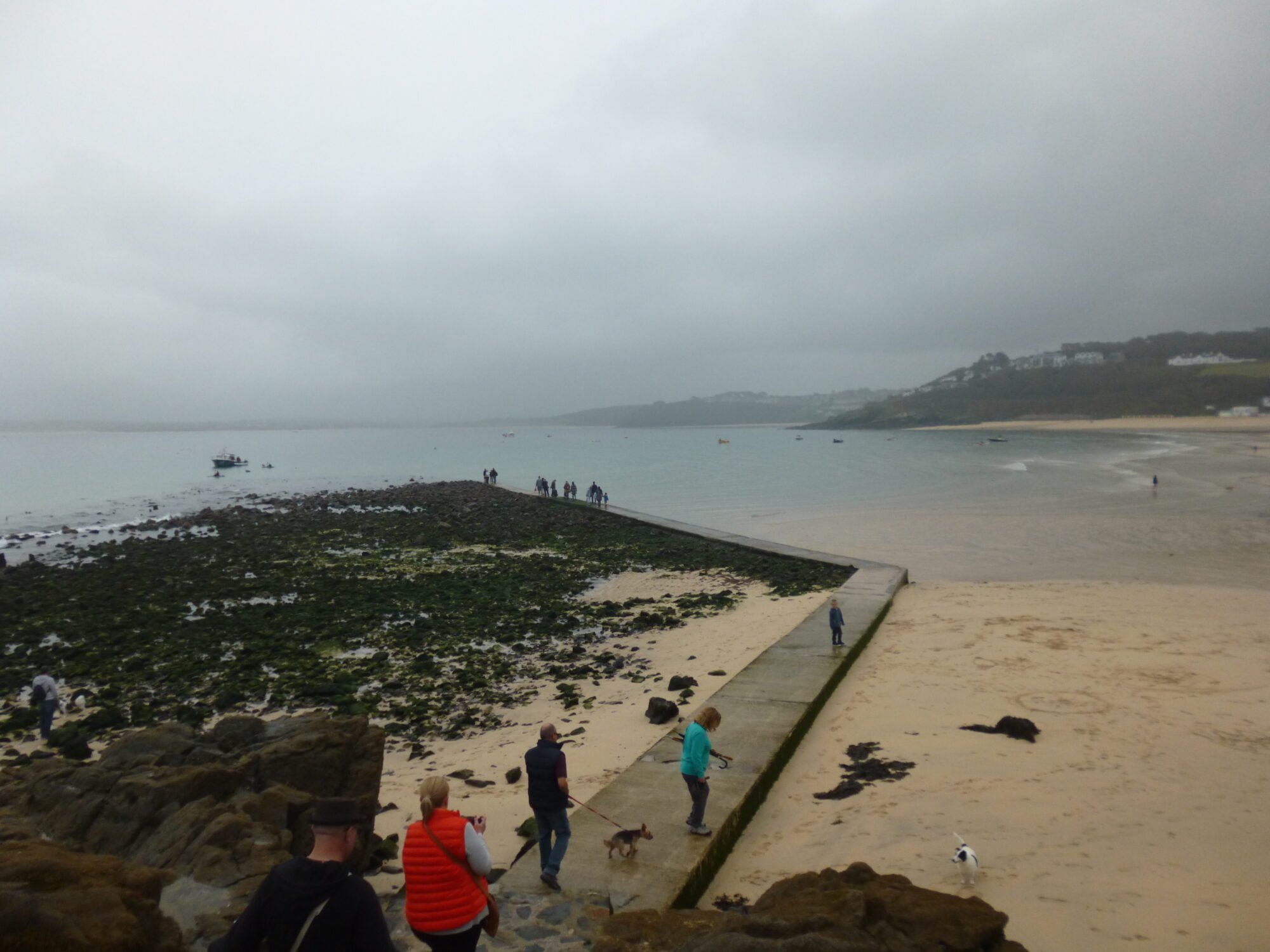 Dog Friendly Beach St Ives