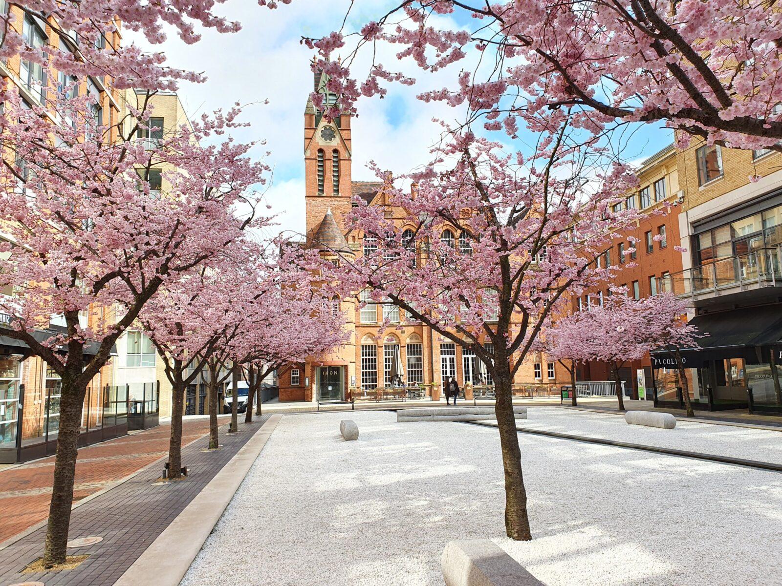 Ikon Gallery Birmingham