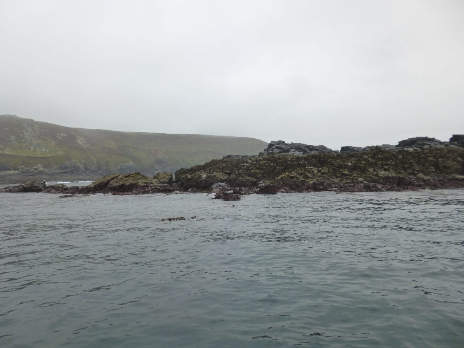 Rugged Coast