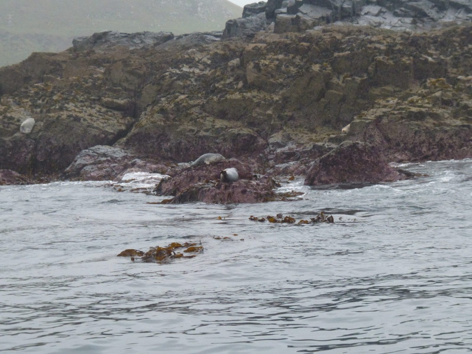 Seal Island