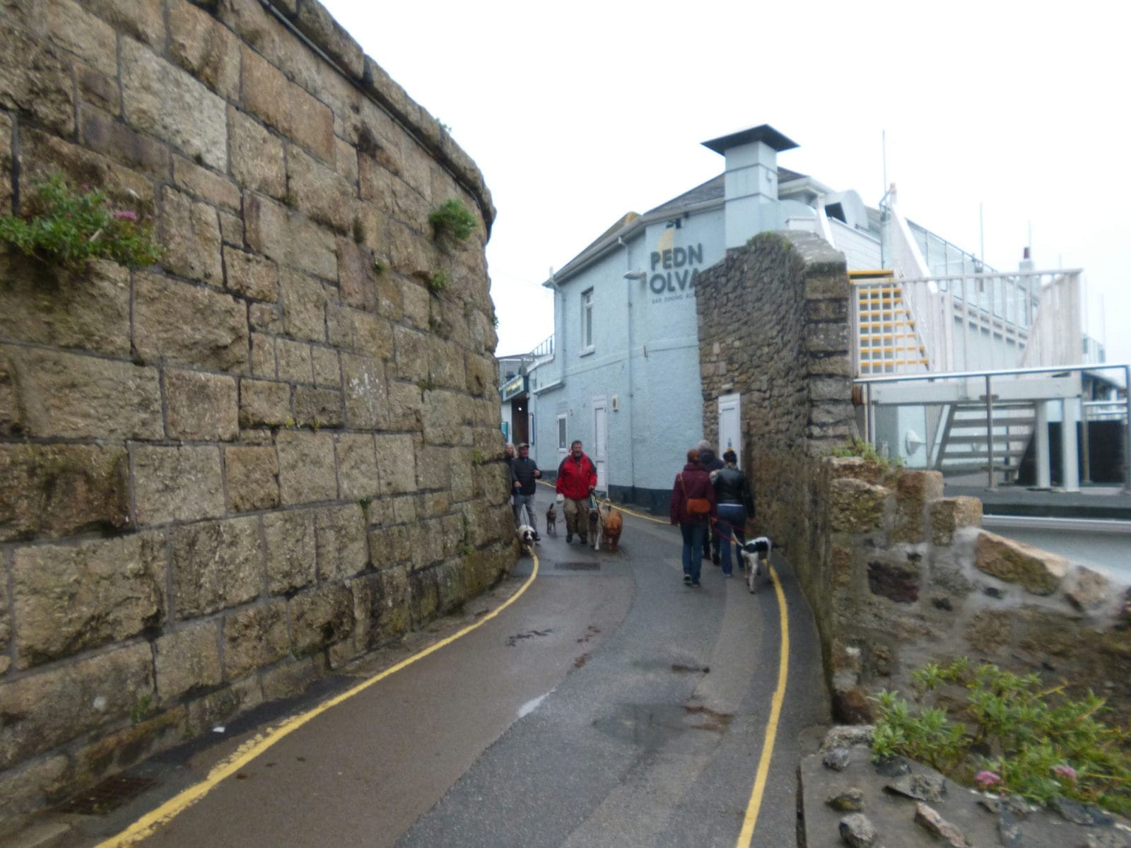 St Ives Dog Friendly