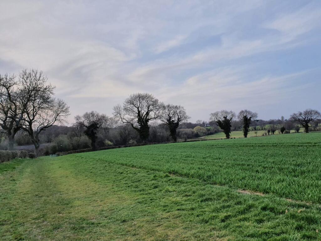 Fields Before Railway Line