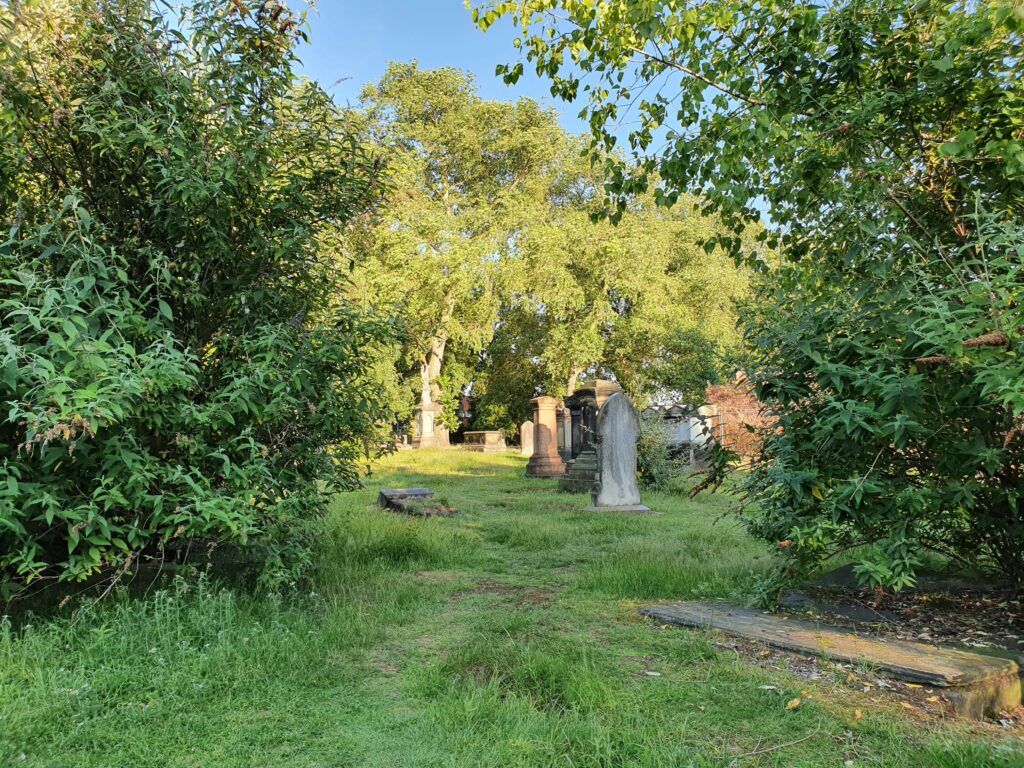 Lush green cemetery