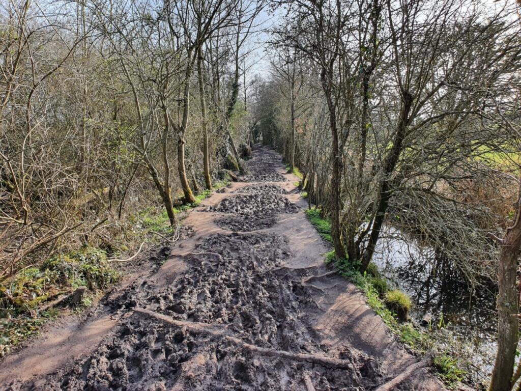 Muddy Path Windmill Pool