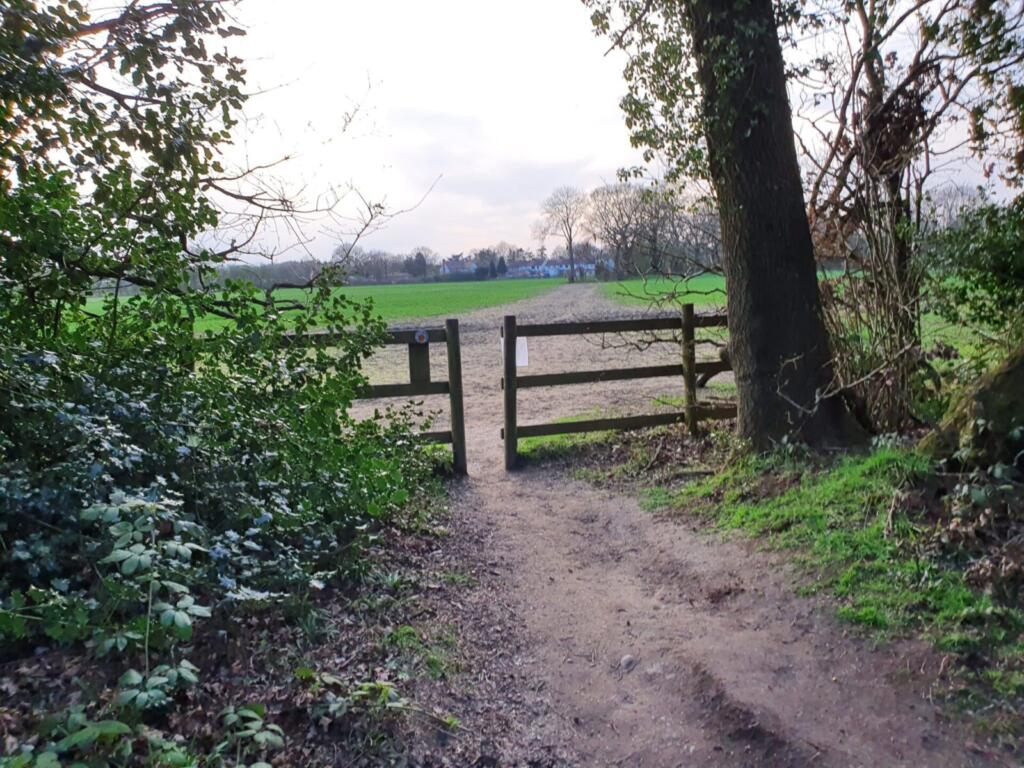 Path into farmland