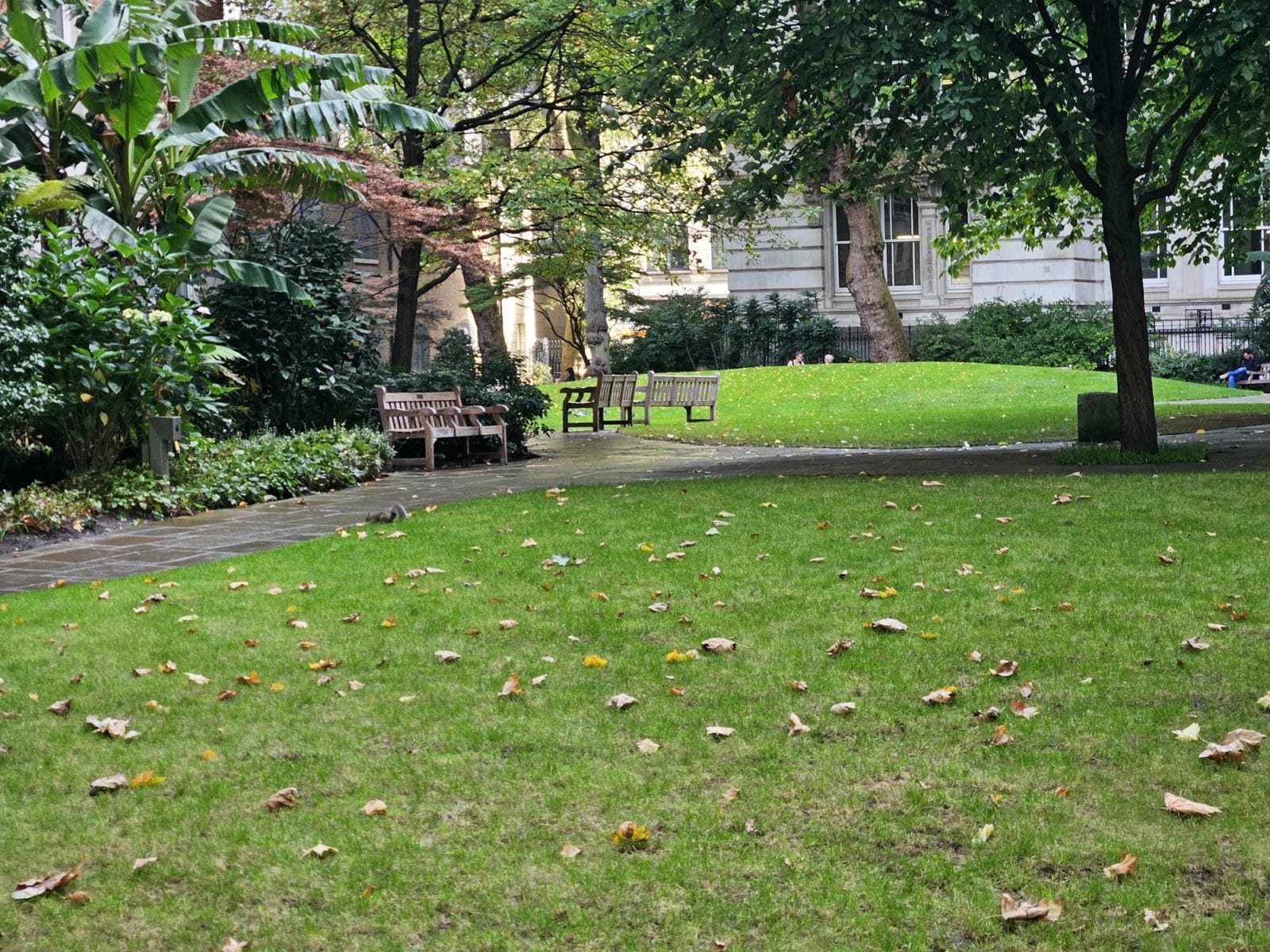Postmans Park Squirrel