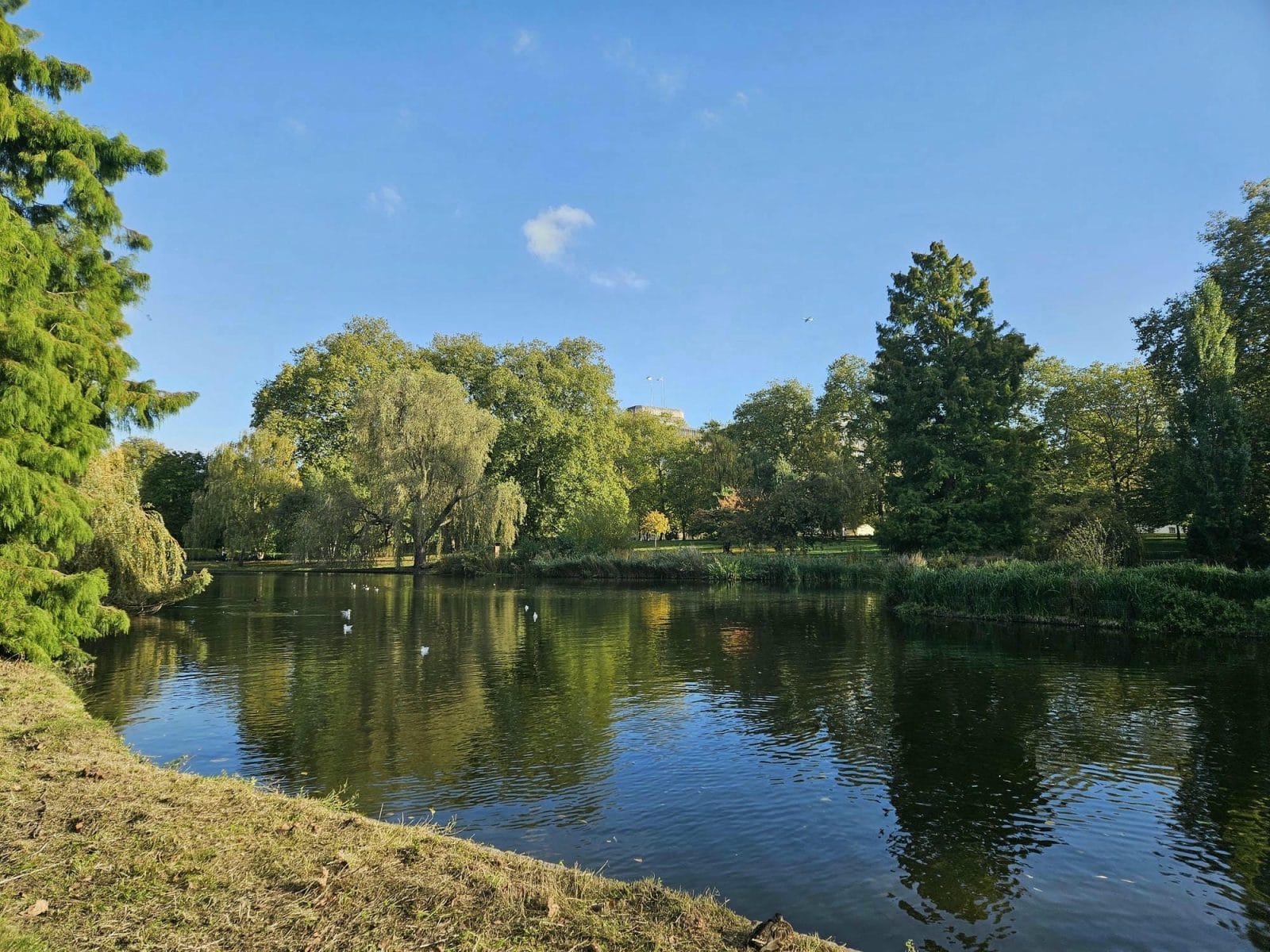 St James Park Lake