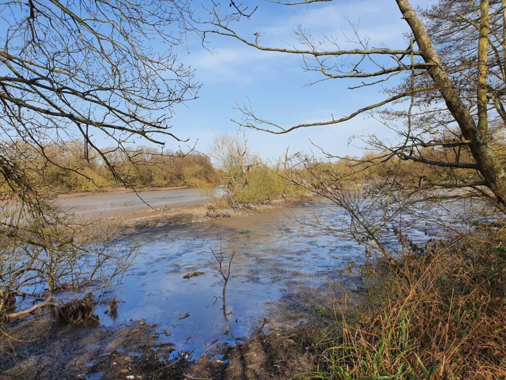 Terry's Pool Mud