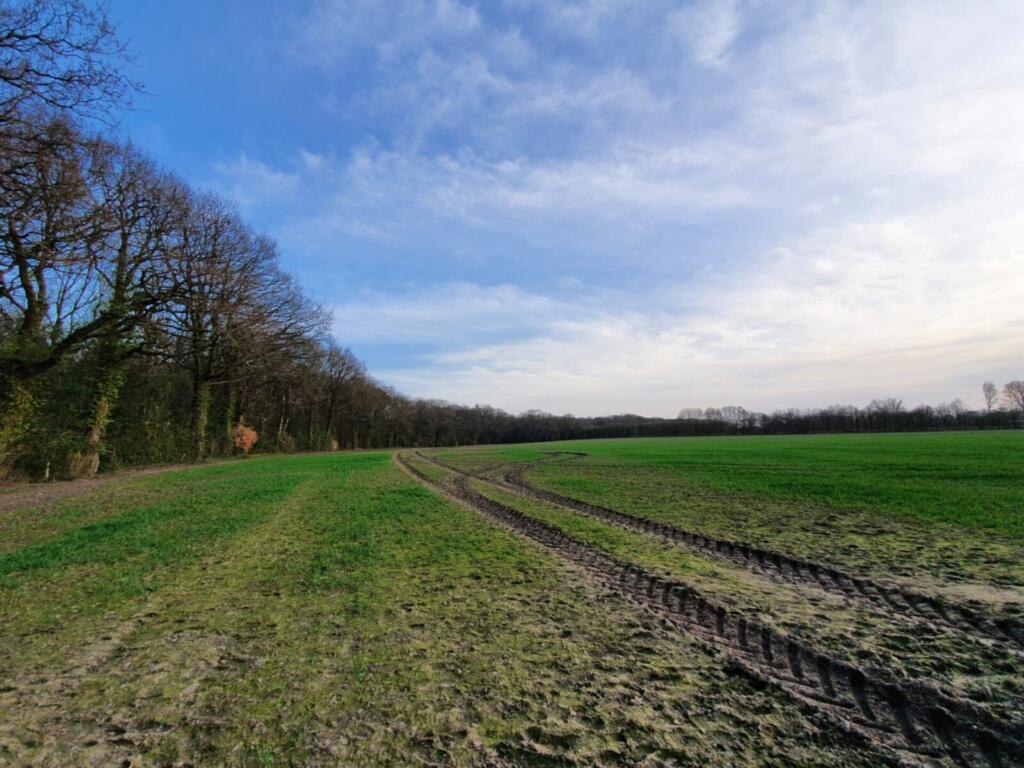 Warwickshire Countryside
