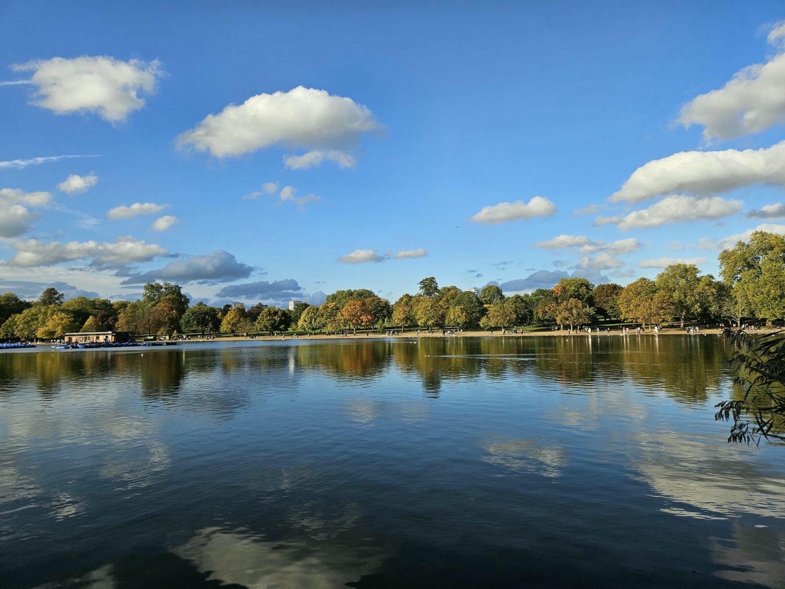 Autumn Serpentine