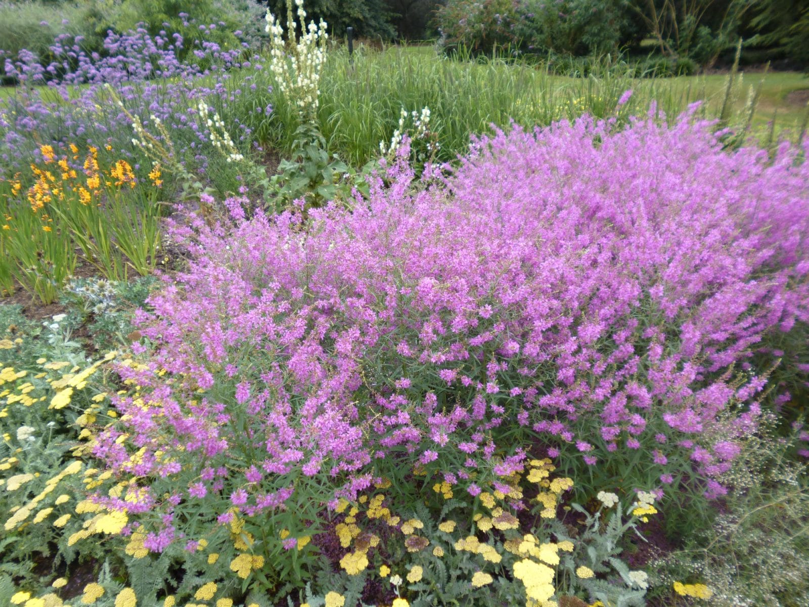 Flowerbeds