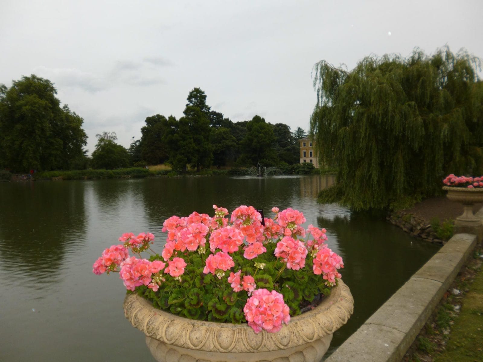 Flowers and lake