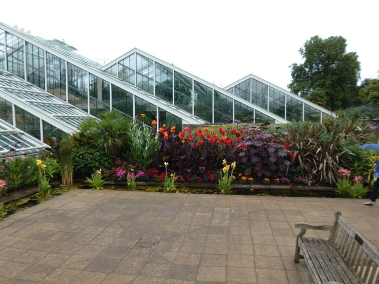 Is Kew Gardens in London Worth Visiting