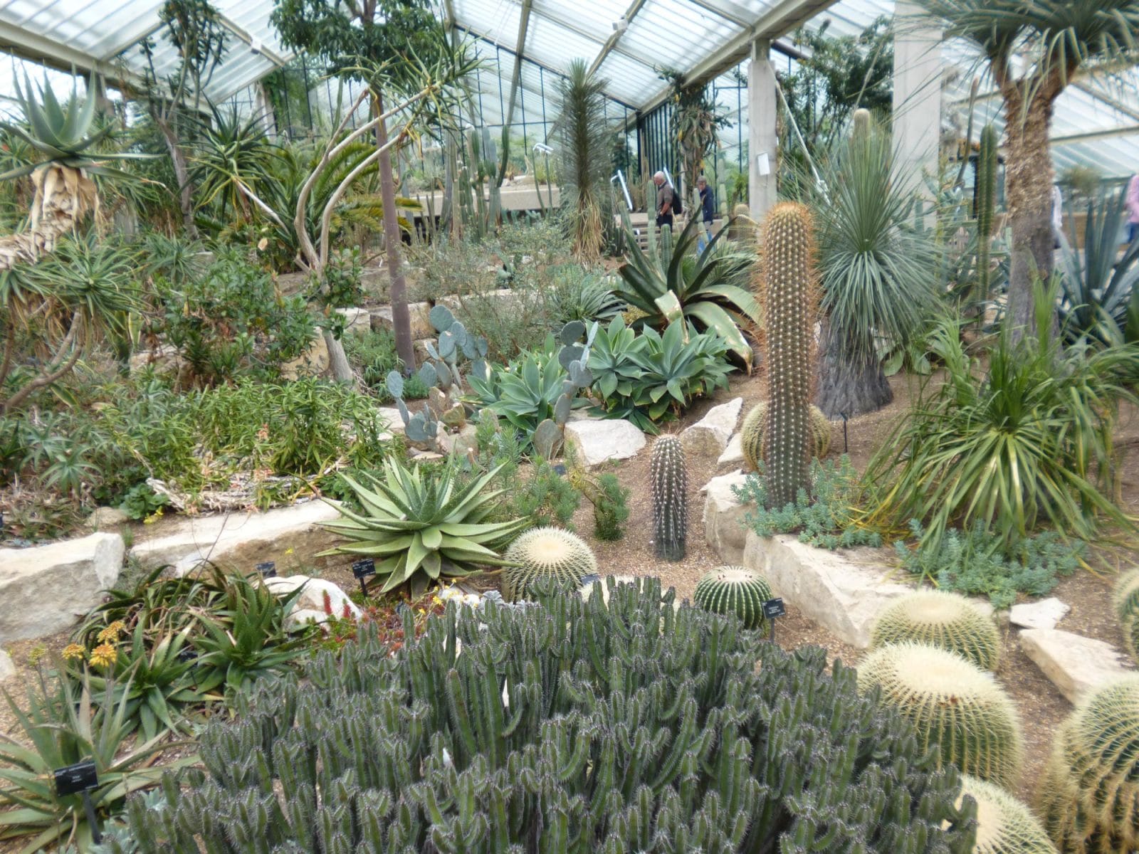 Kew Garden Cactus Room