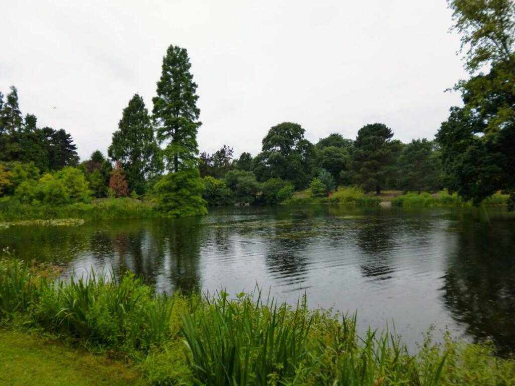 Lake at Royal Botanical Gardens