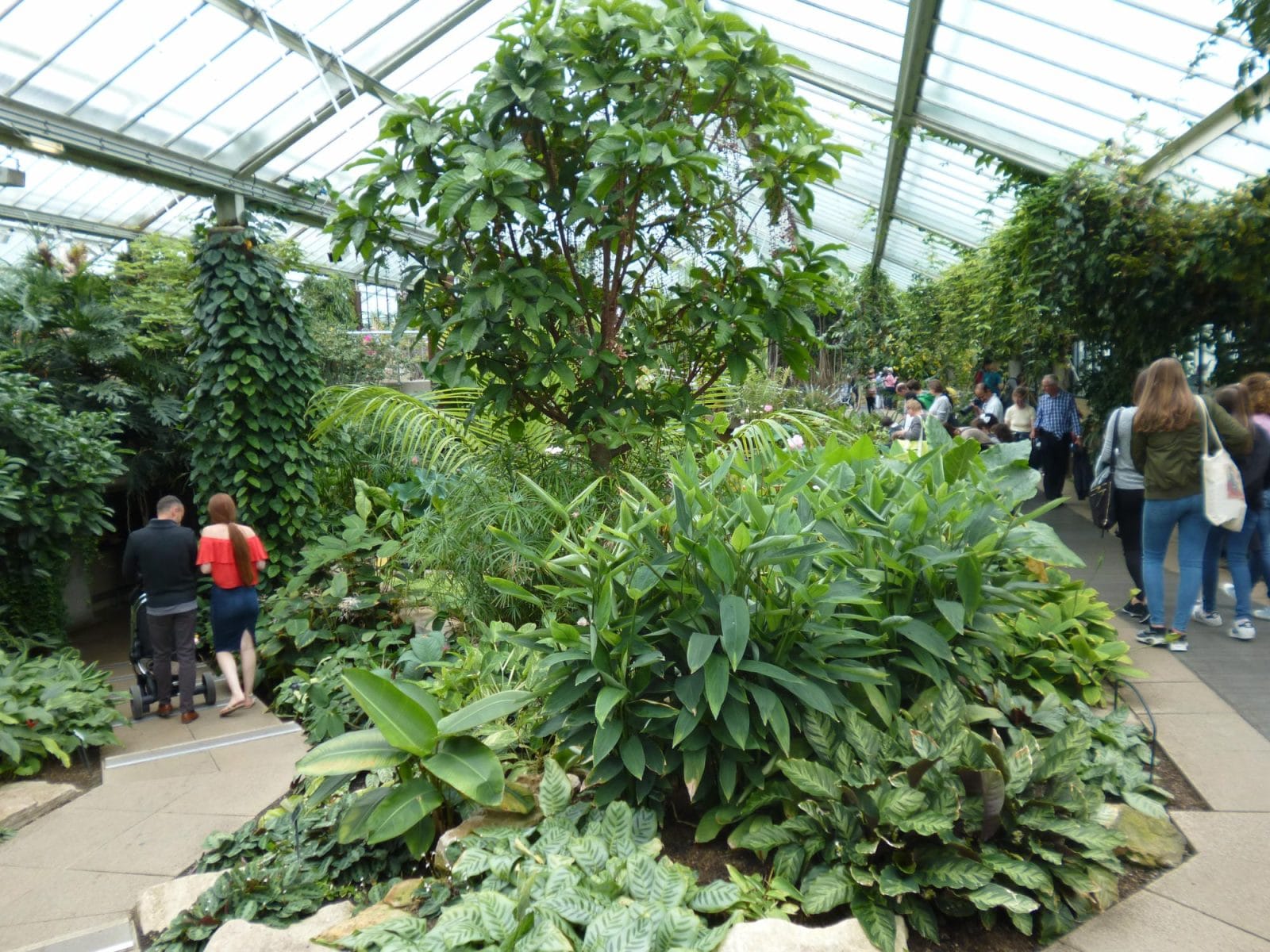 Princess of Wales Conservatory