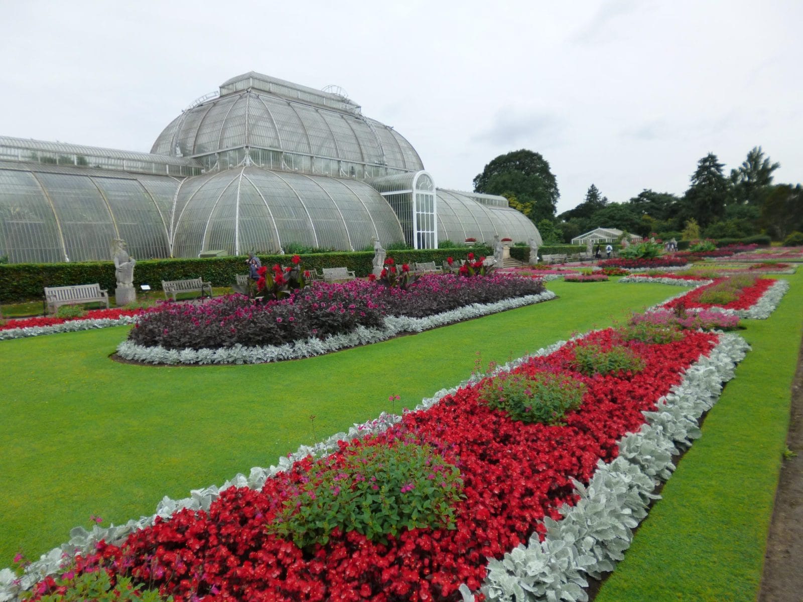 Red Flowers and Greenhouse