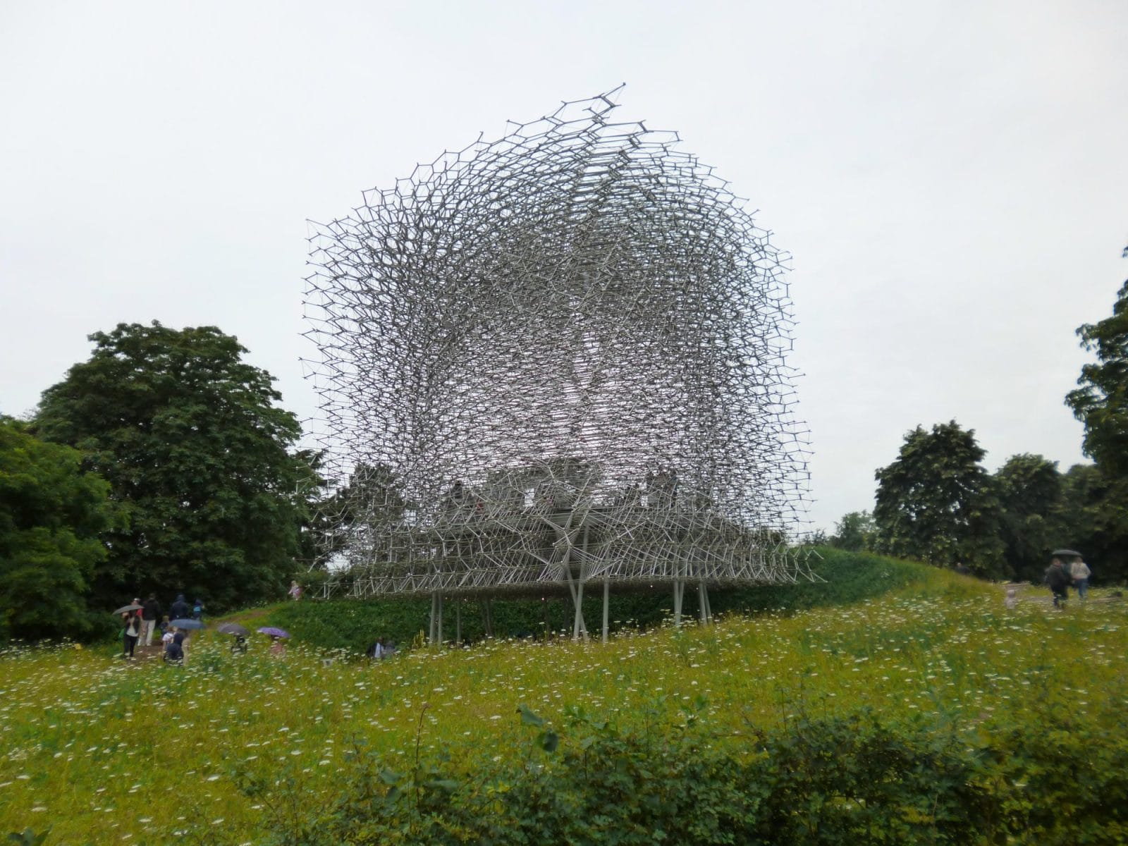The Hive