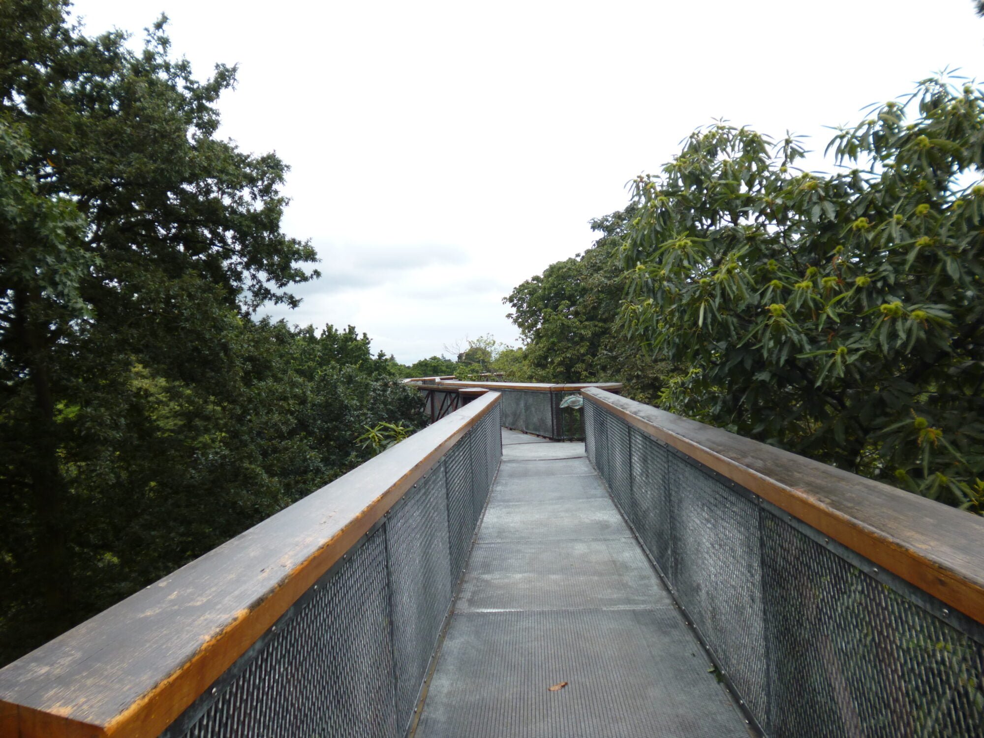 Treetop Walkway Kew