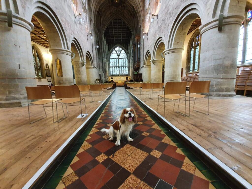 Dog Friendly Priory Church