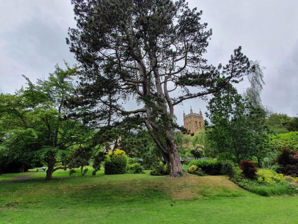 Priory Park