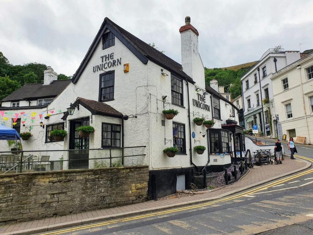 The Unicorn