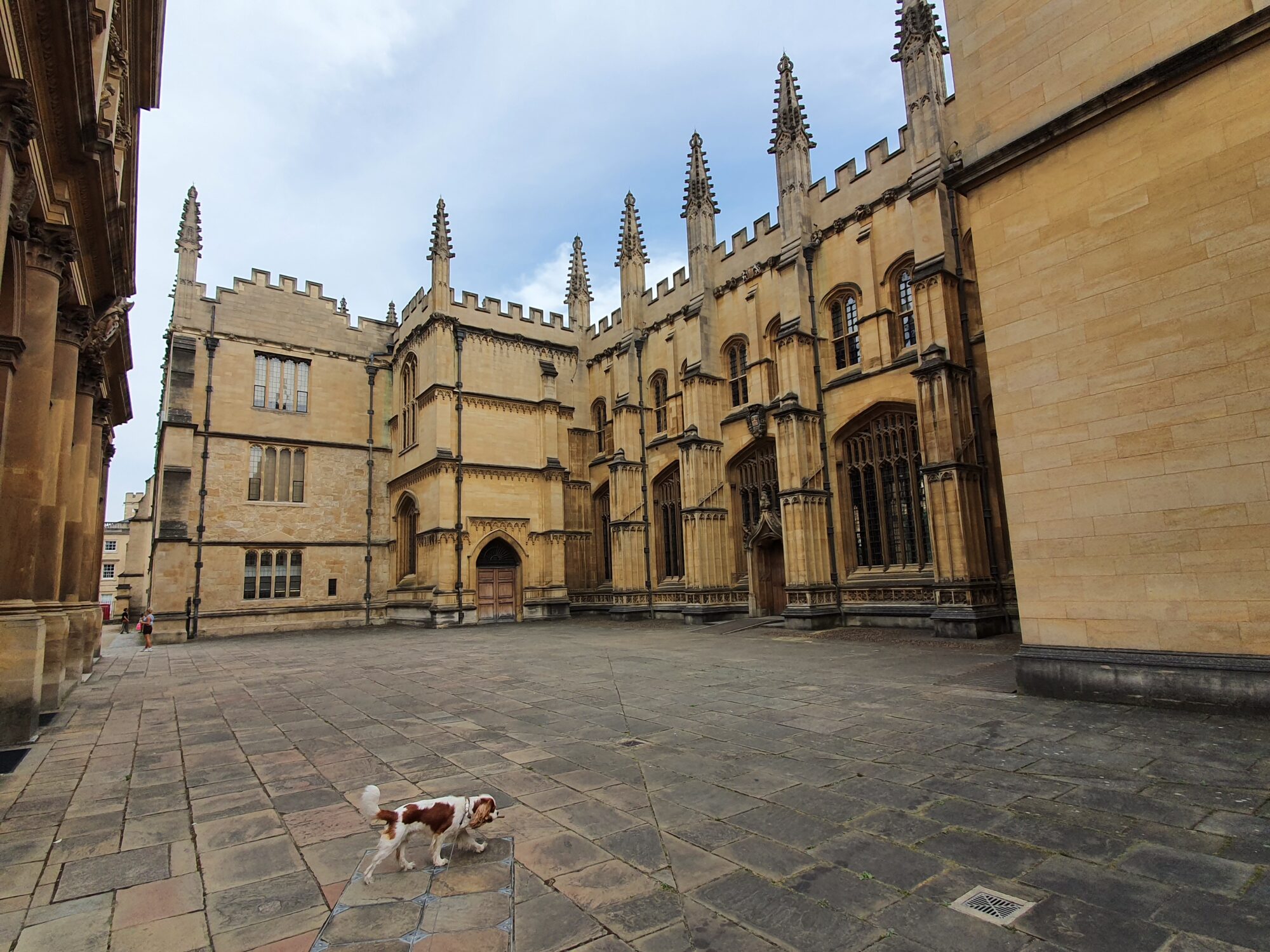 Bodleian Library Dog Walk