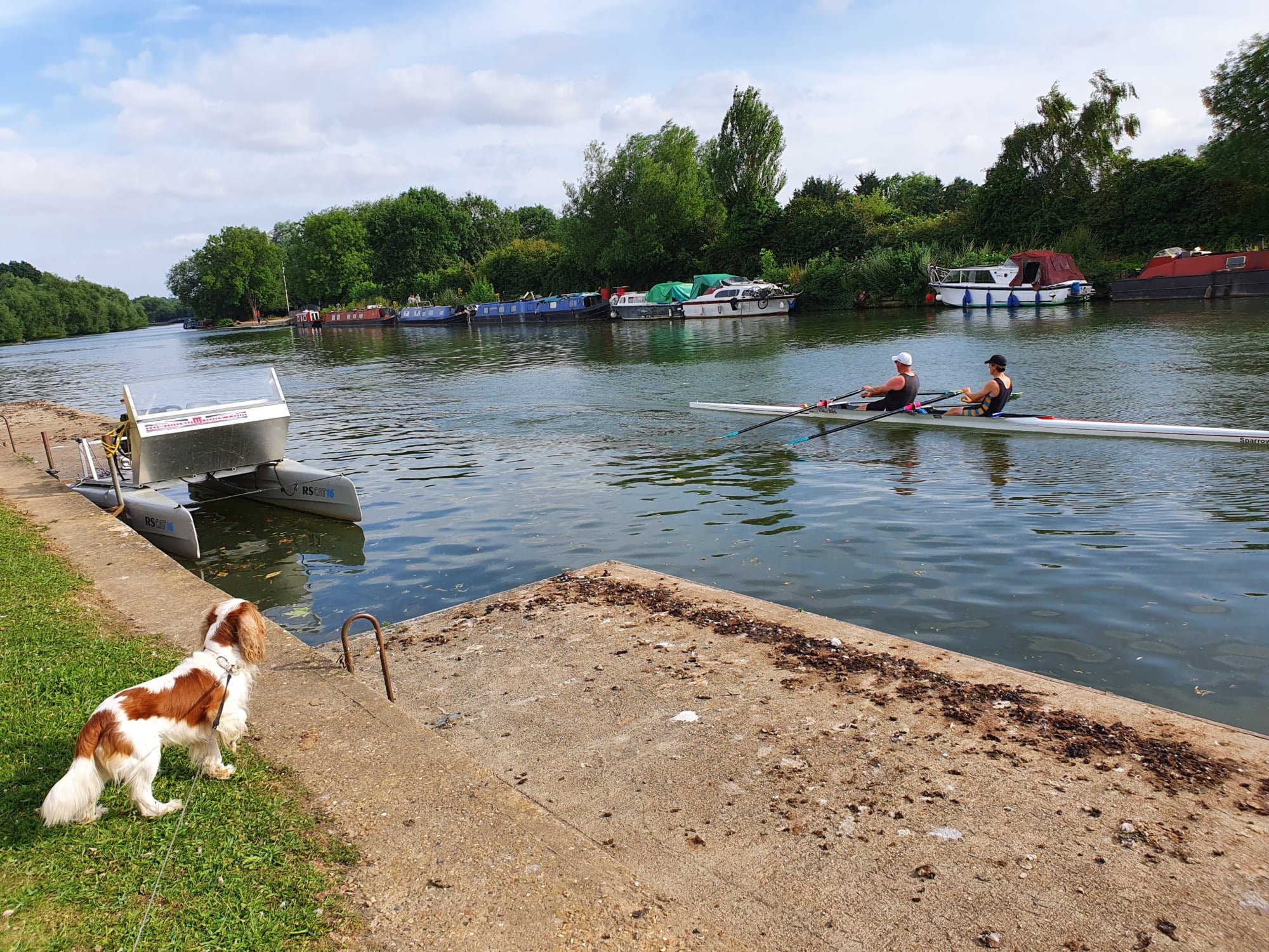 Dog Boathouse Island