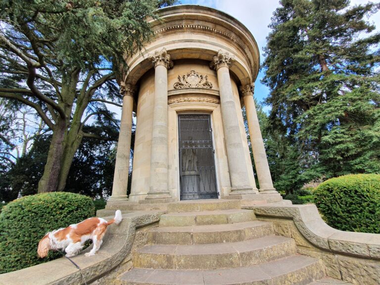 Dog Friendly Leamington Spa