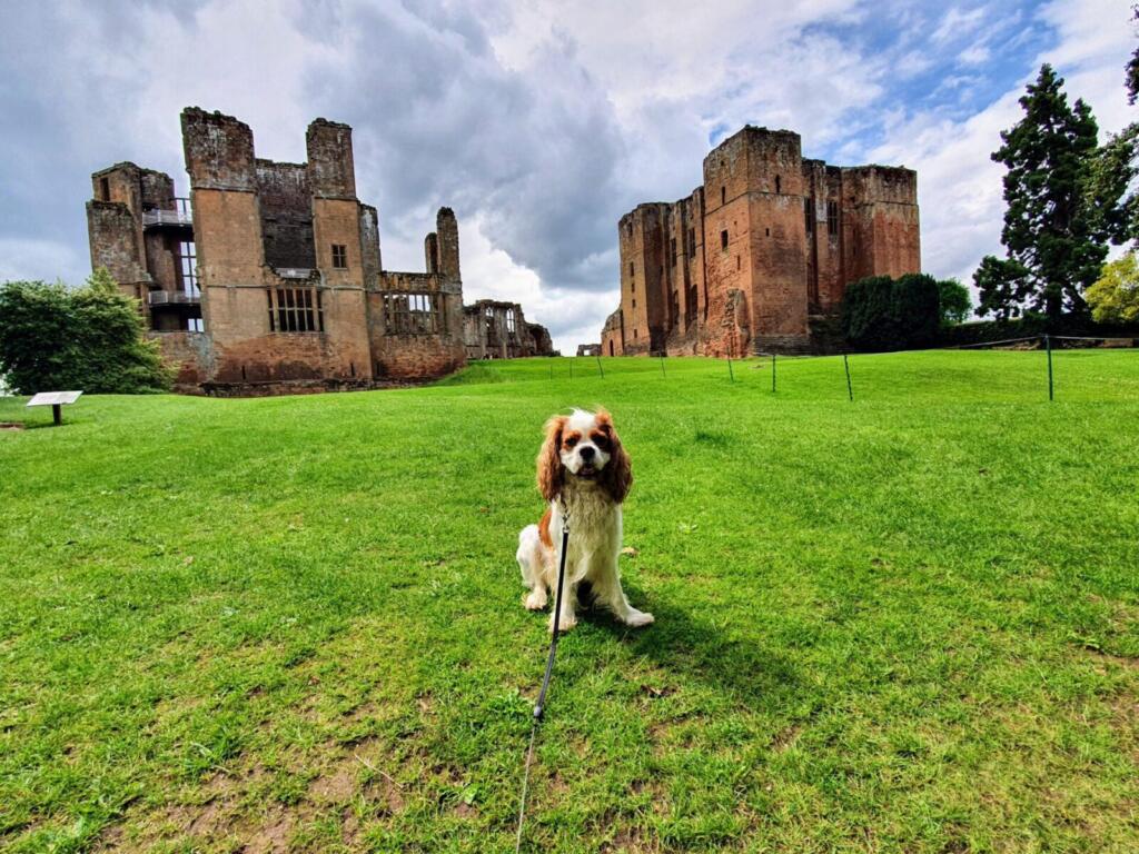 Dog friendly Kenilworth Castle