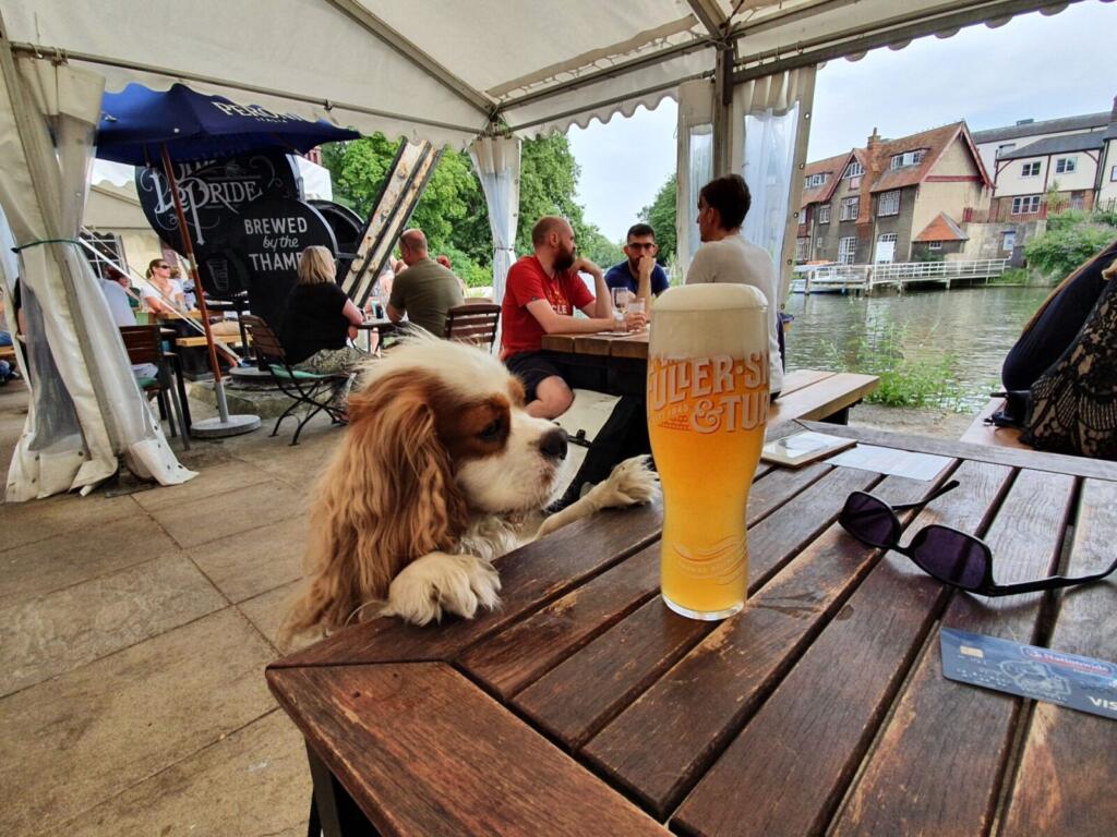 Head of River Pub
