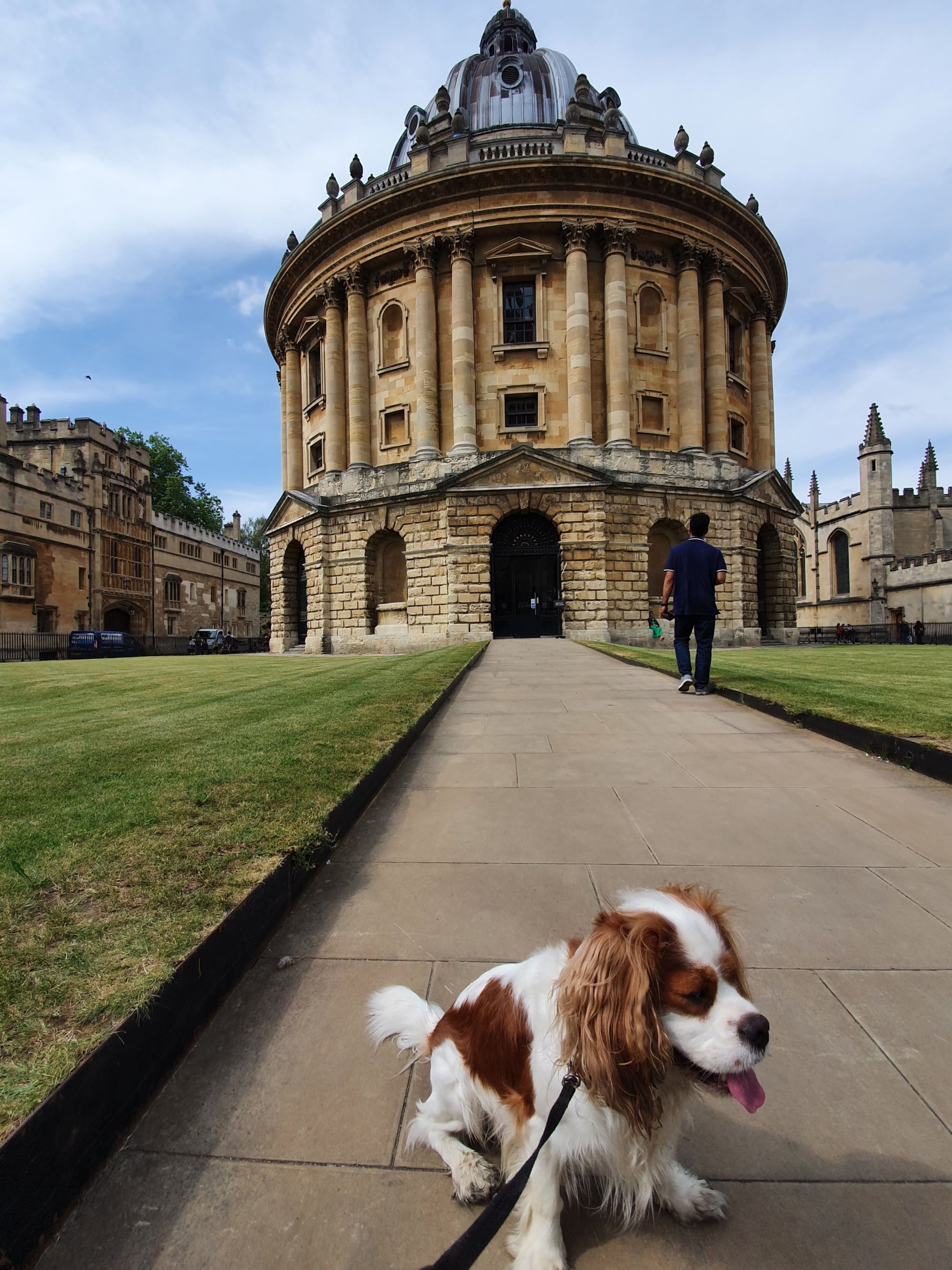 Is Oxford Dog Friendly